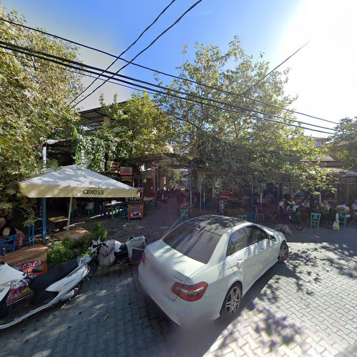 Fotoğraf 10