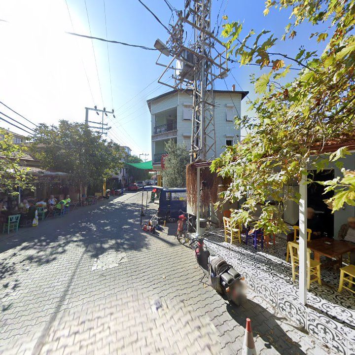 Fotoğraf 11