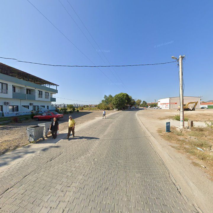 Fotoğraf 9