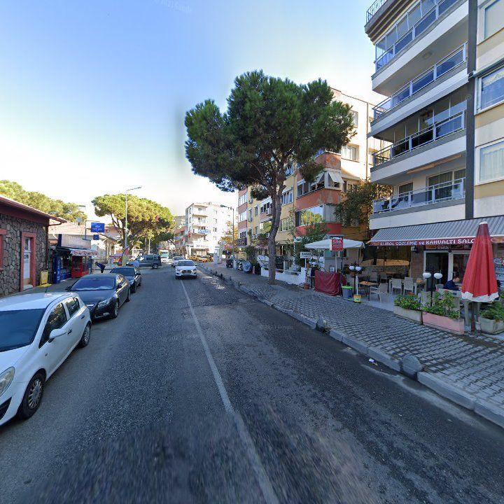 Fotoğraf 8