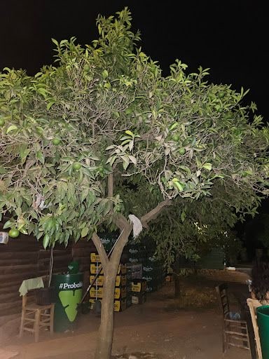 Yorum fotoğrafı 4