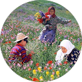 Dilanur Demir