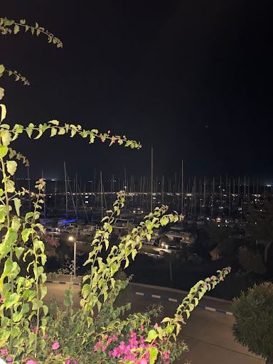 Fotoğraf 12
