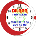 Dilarasite Yonetim