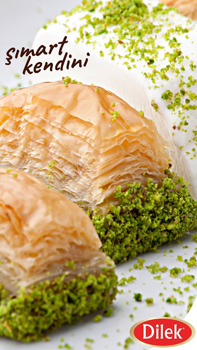 Fotoğraf 22