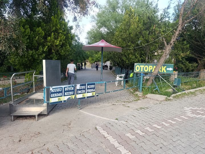 Fotoğraf 30