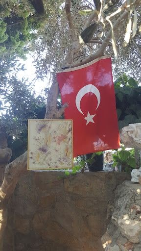 Fotoğraf 9