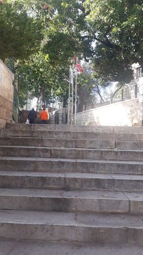 Fotoğraf 12