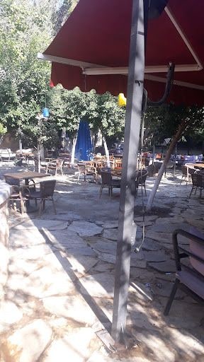 Fotoğraf 14