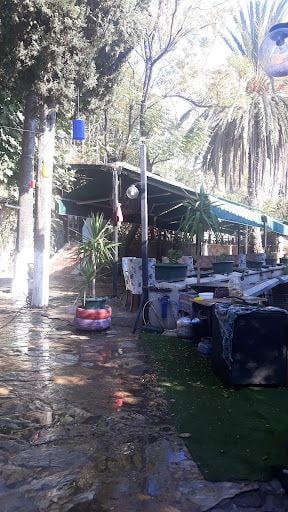 Fotoğraf 16