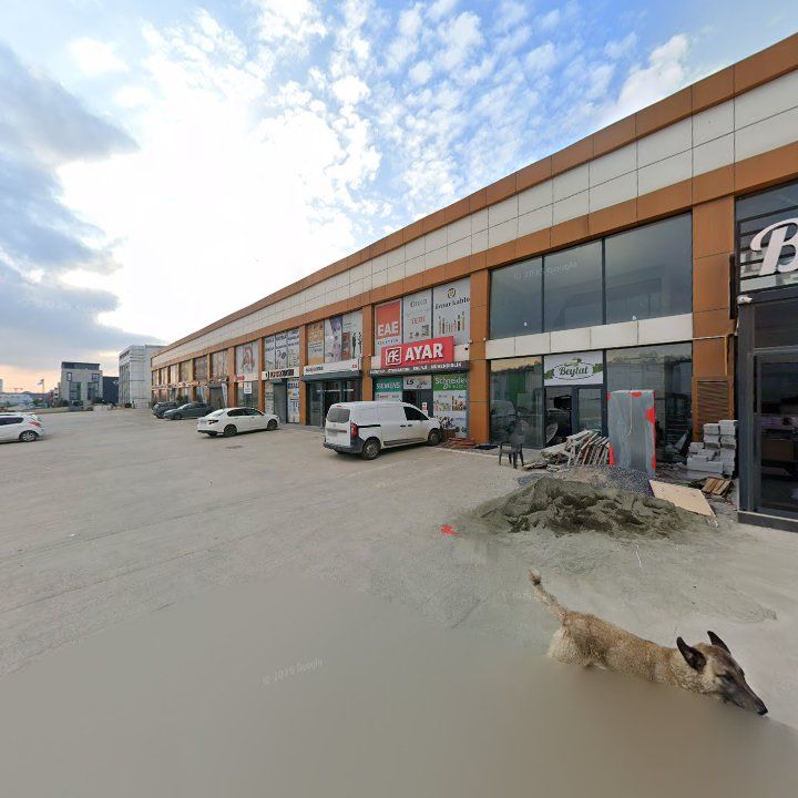 Fotoğraf 8
