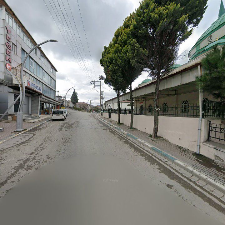 Fotoğraf 6