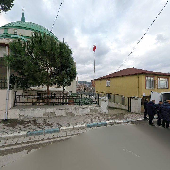 Fotoğraf 7