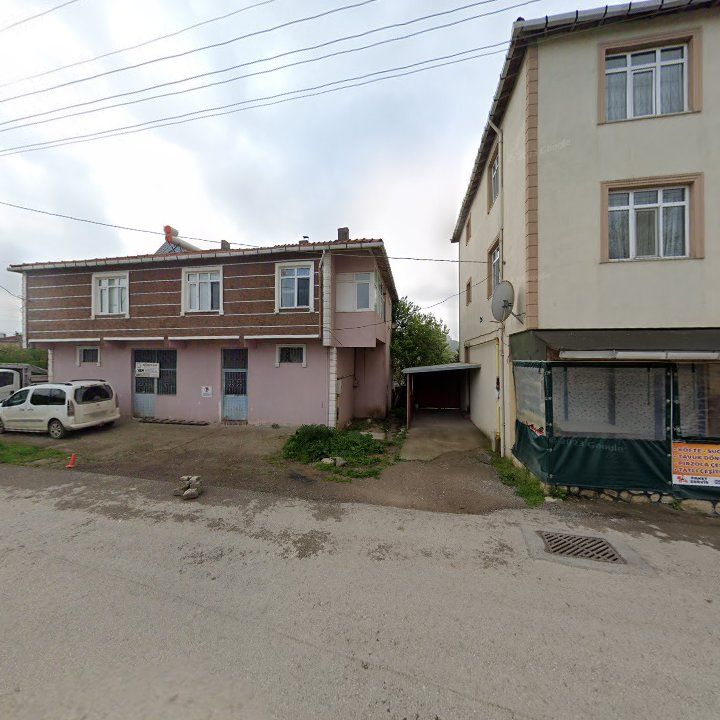 Fotoğraf 6