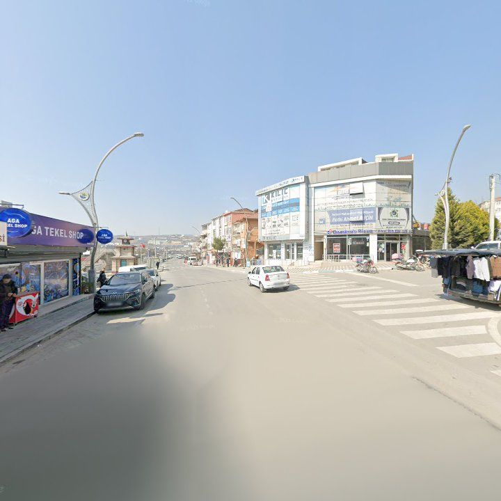 Fotoğraf 8