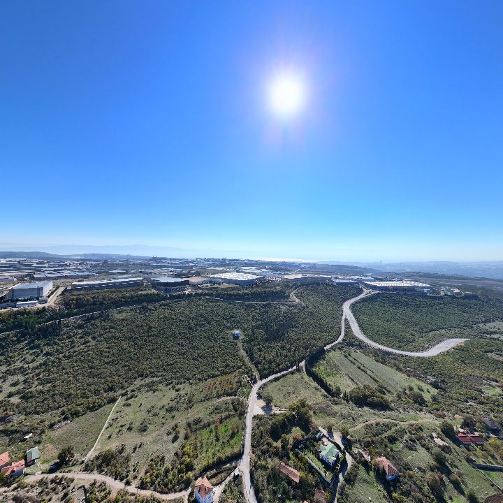 Fotoğraf 13
