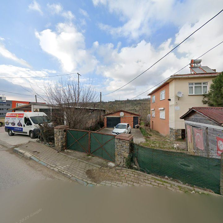 Fotoğraf 7