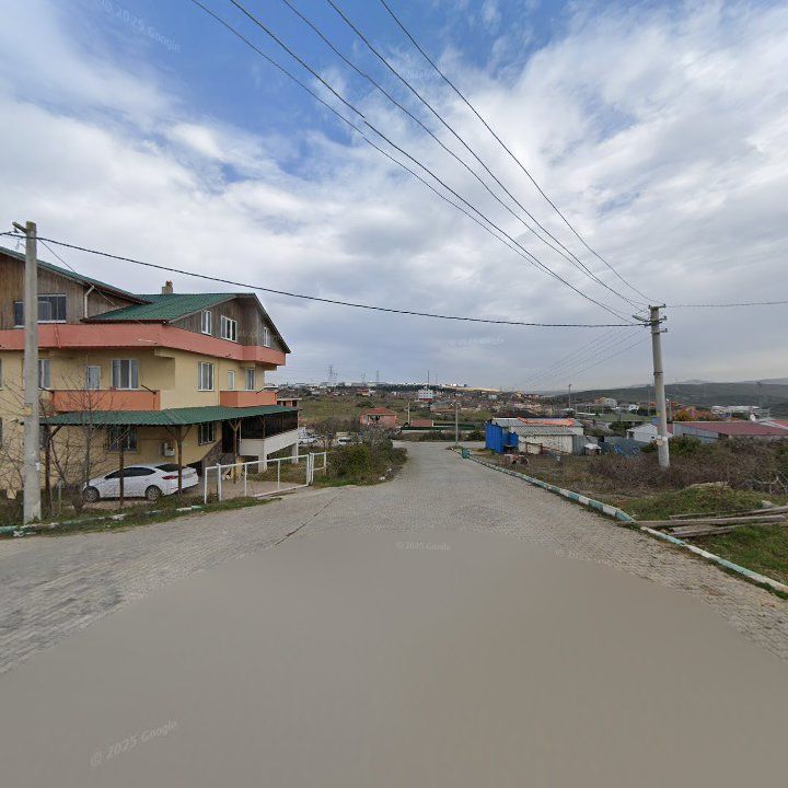 Fotoğraf 10