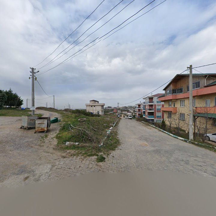 Fotoğraf 9
