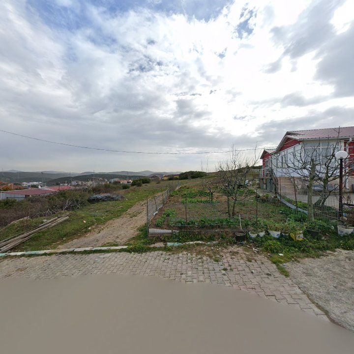 Fotoğraf 11