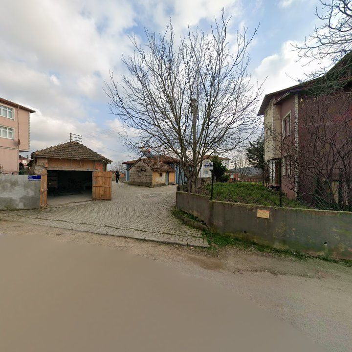 Fotoğraf 9