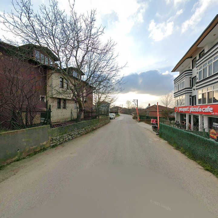 Fotoğraf 10