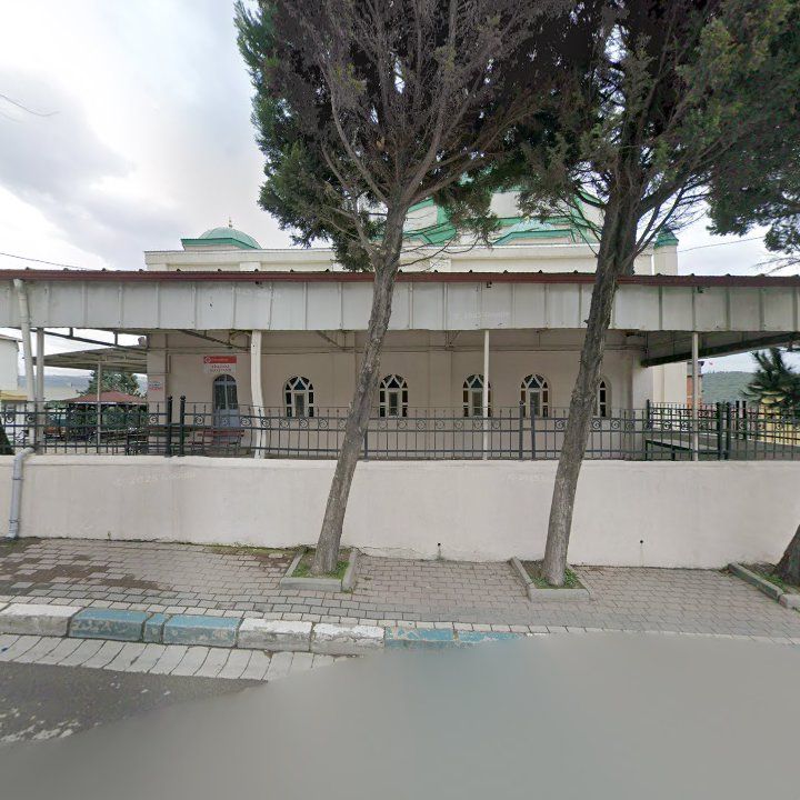 Fotoğraf 3