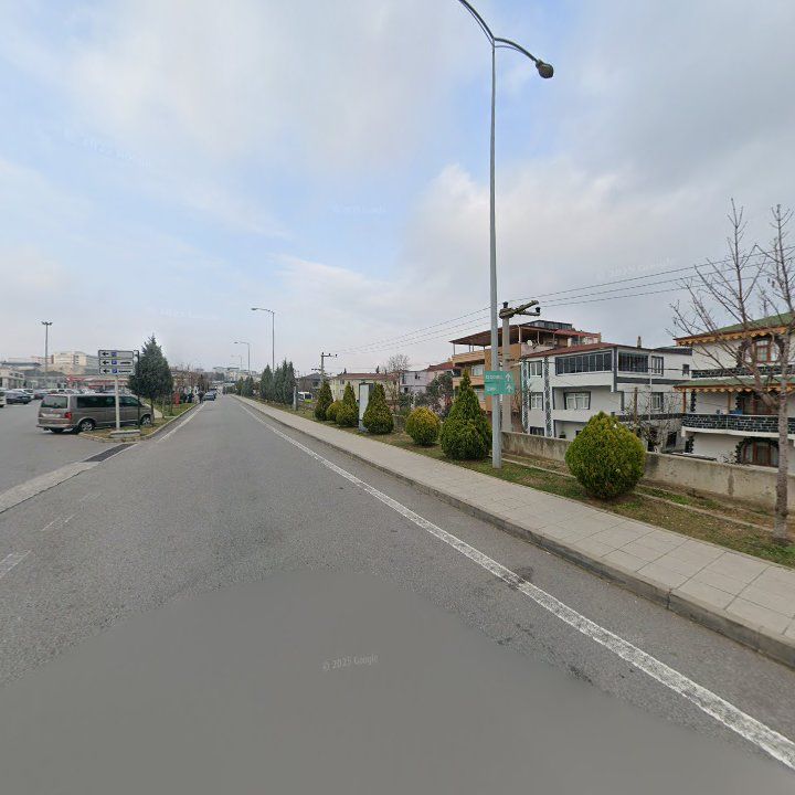 Fotoğraf 13