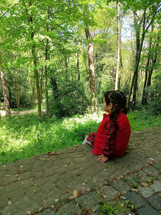 Yorum fotoğrafı 3