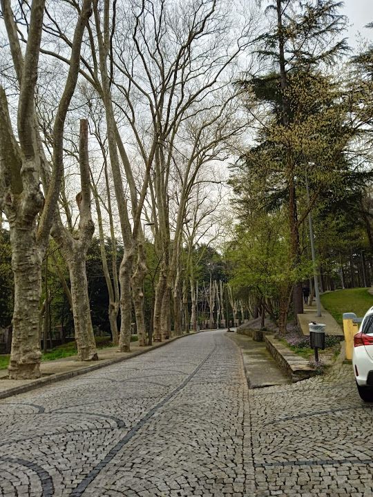 Yorum fotoğrafı 2