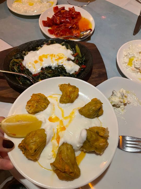 Yorum fotoğrafı 1