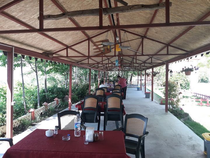 Büyük Menderes Canlı Alabalık