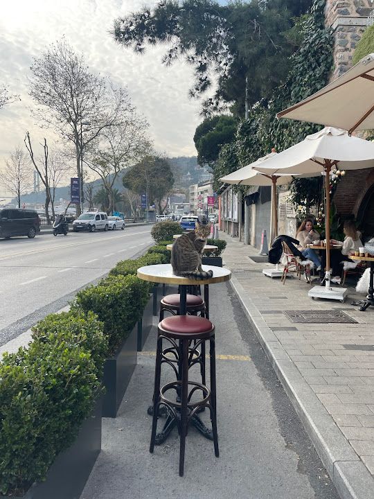 Yorum fotoğrafı 4