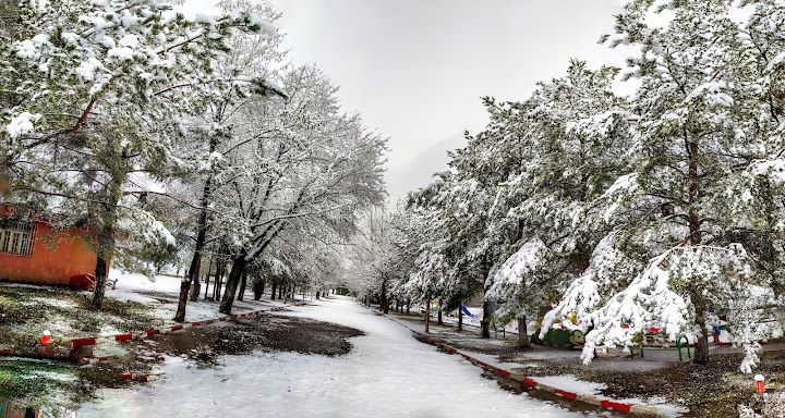 Divriği Belediyesi Çay Bahçesi