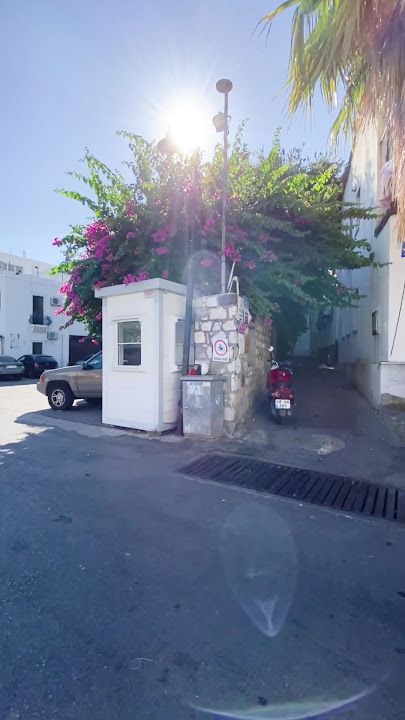 Fotoğraf 38