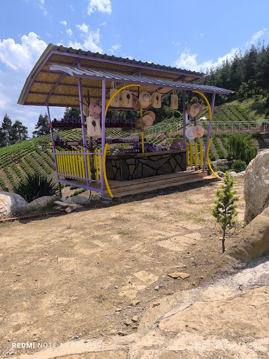Fotoğraf 22