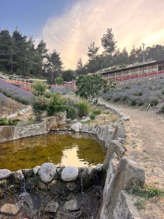 Yorum fotoğrafı 4