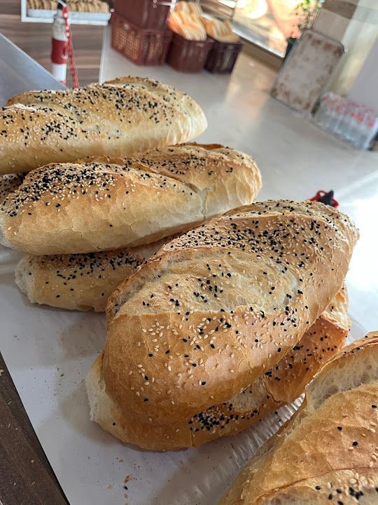 Fotoğraf 10