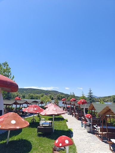 Yorum fotoğrafı 4