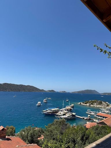 Yorum fotoğrafı 4