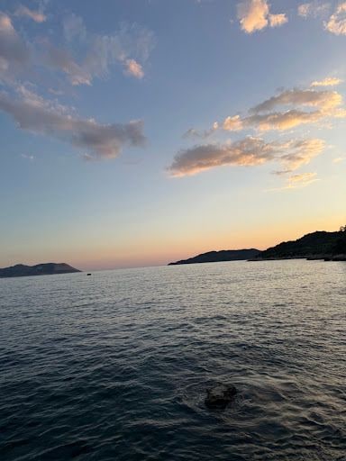 Yorum fotoğrafı 6