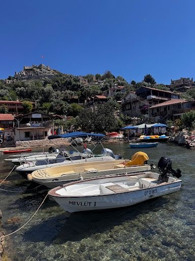 Yorum fotoğrafı 7