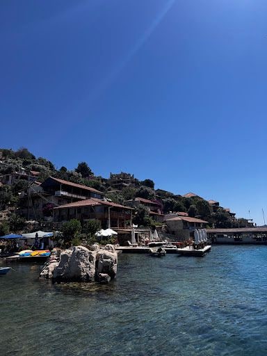 Yorum fotoğrafı 9