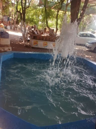 Yorum fotoğrafı 5
