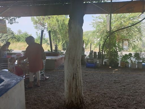 Yorum fotoğrafı 9