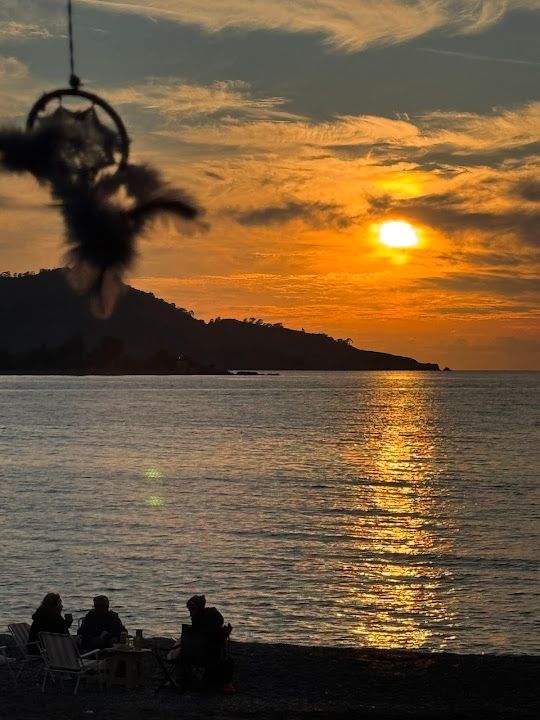Fotoğraf 15