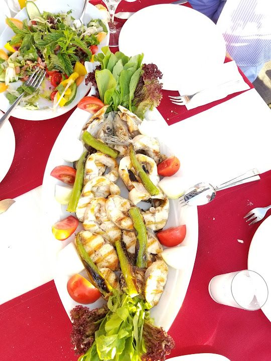Fotoğraf 41