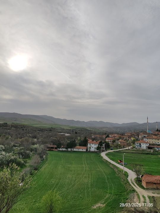 Fotoğraf 2