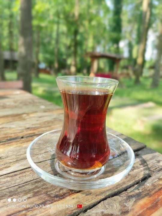 Fotoğraf 28