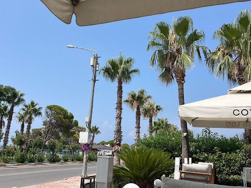 Fotoğraf 20